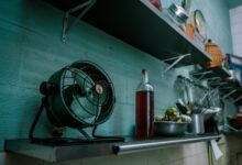 qoghundos ingredients and benefits