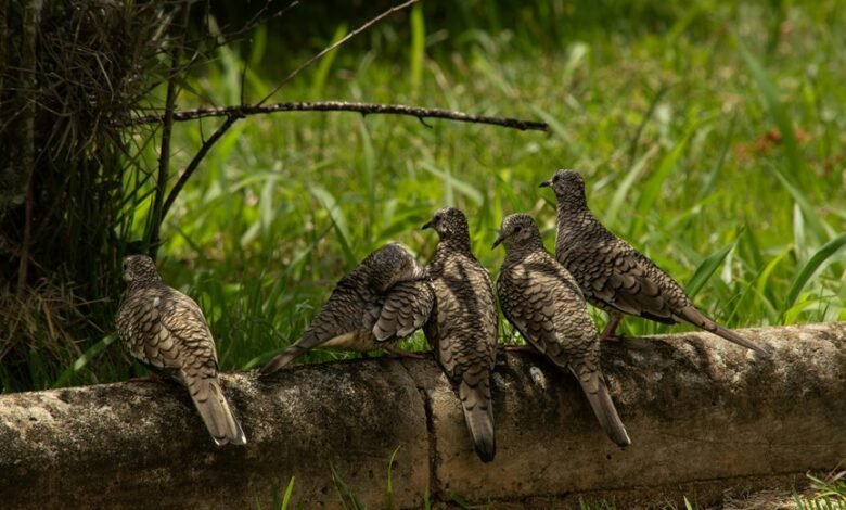 metric examination log review