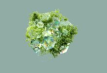 operational data integrity review